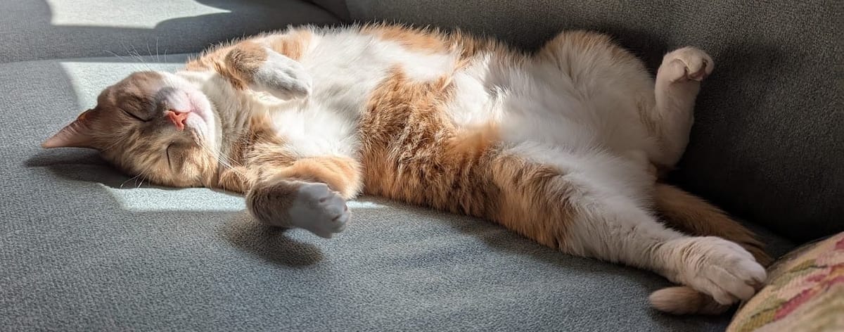 Gratitude List, 2025